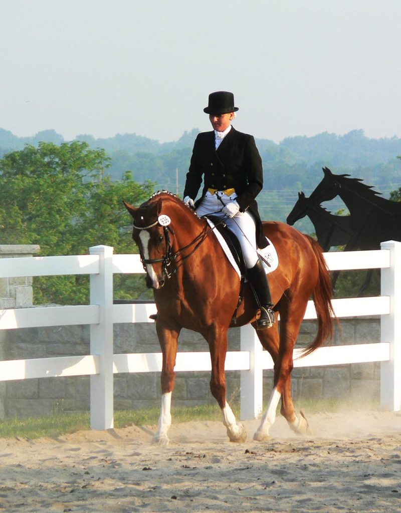 Karin Glynn Dressage Lessons in the Kansas City Area Karin Glynn Dressage Lessons in the Kansas City Area