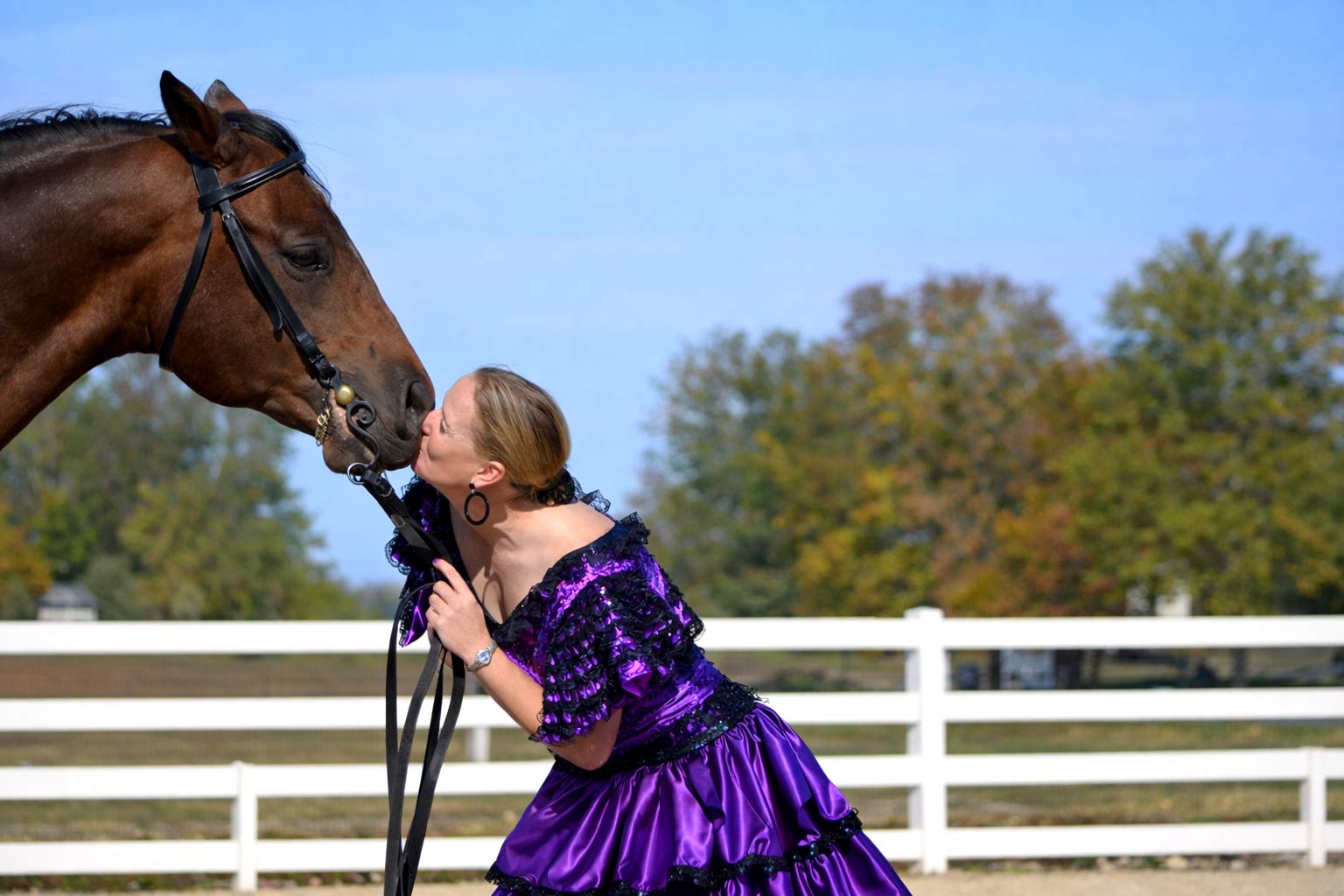 Karin Glynn Dressage Services and Dressage Lessons in Kansas City