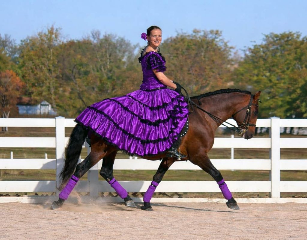 Karin Glynn Dressage Services and Dressage Lessons in Kansas City Karin Glynn Dressage Services and Dressage Lessons in Kansas City